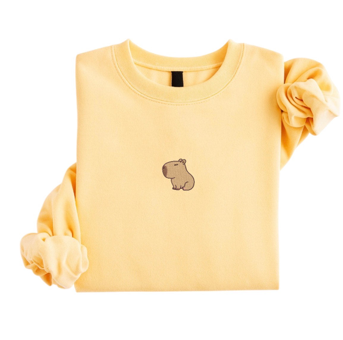 Capybara Embroidered Sweatshirt, Cute Capybara Crewneck, Minimal Animal Embroidery, Pastel  Unisex Sweatshirt, Cozy Gift